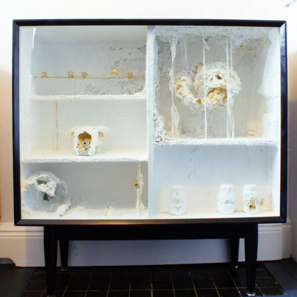 The Cabinet of Curiosities by Gilda and Lily - Image 8