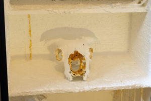The cabinet of curiosities by Gilda and Lily, Detail