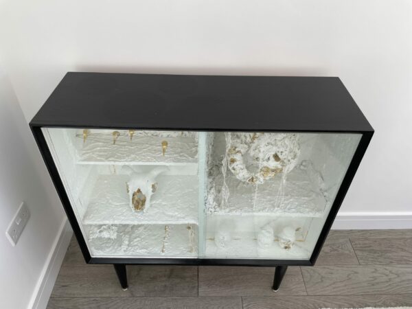 The Cabinet of Curiosities by Gilda and Lily - Image 13