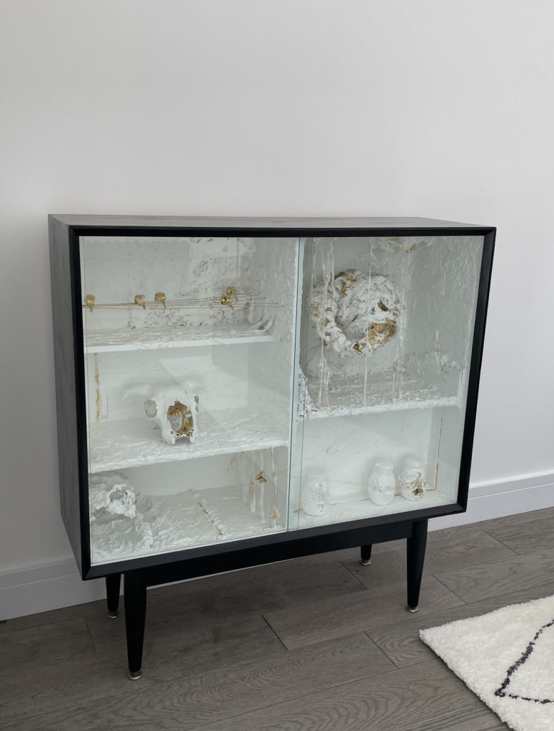 The cabinet of curiosities by Gilda and Lily,