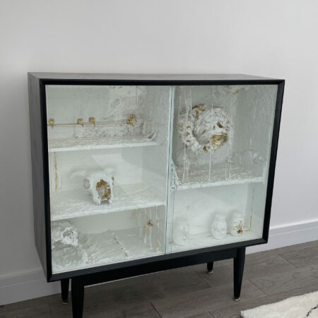 The Cabinet of Curiosities by Gilda and Lily